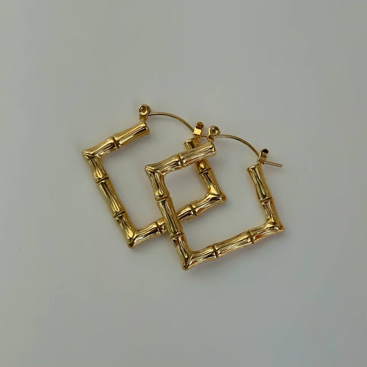 Ambani Earrings